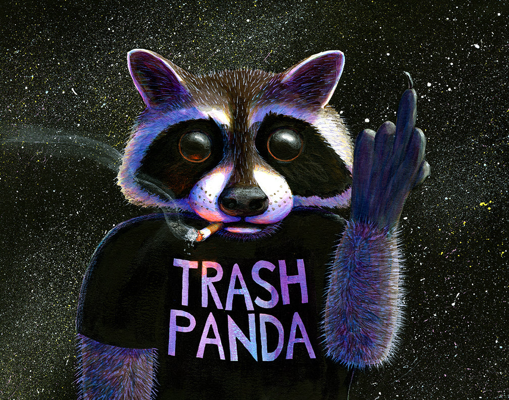 trash panda art