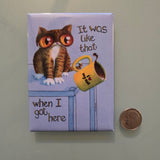 It Was Like That When I Got Here - Magnet