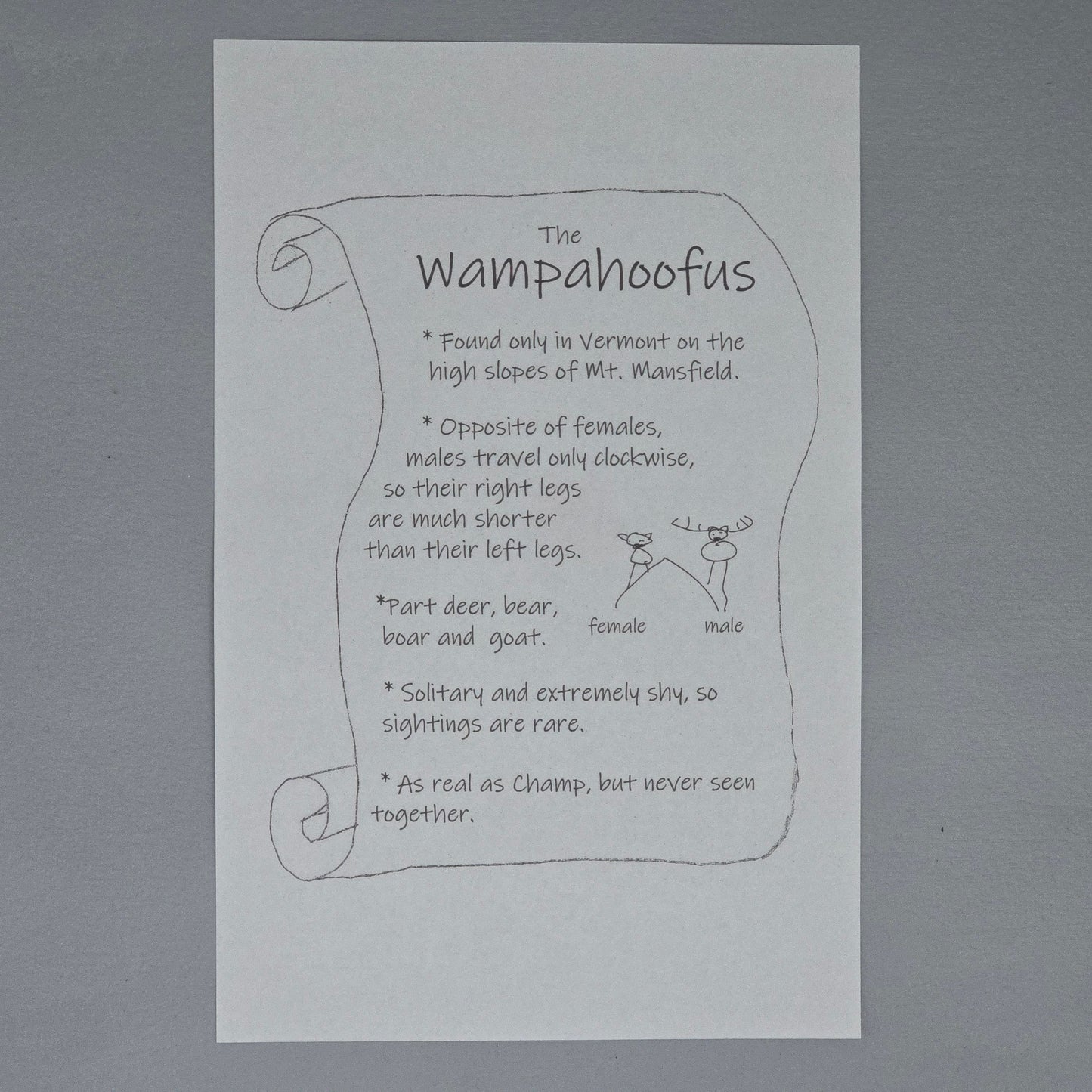 Wampahoofus - Greeting Card